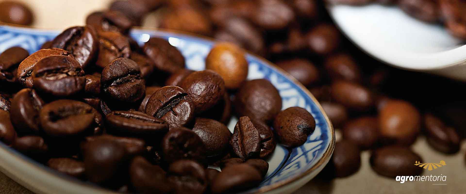 Café: logística será um dos principais desafios para 2022, diz Cecafé