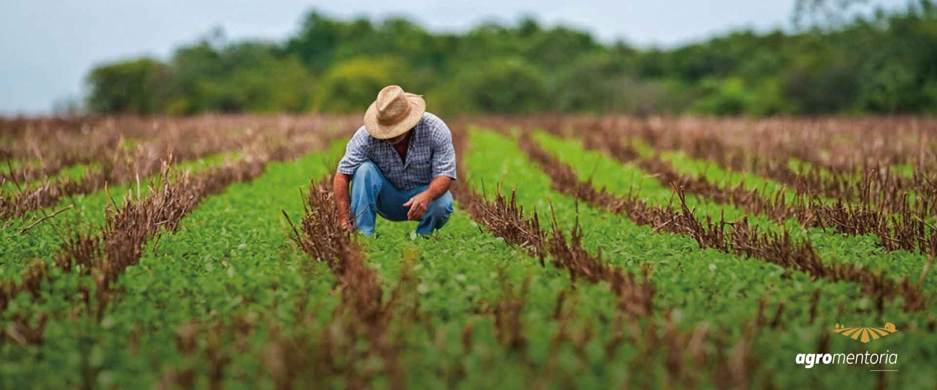 As Razões para Aquisição dos Créditos Agrícolas com Garantia Hipotecária e/ou Fiduciárias