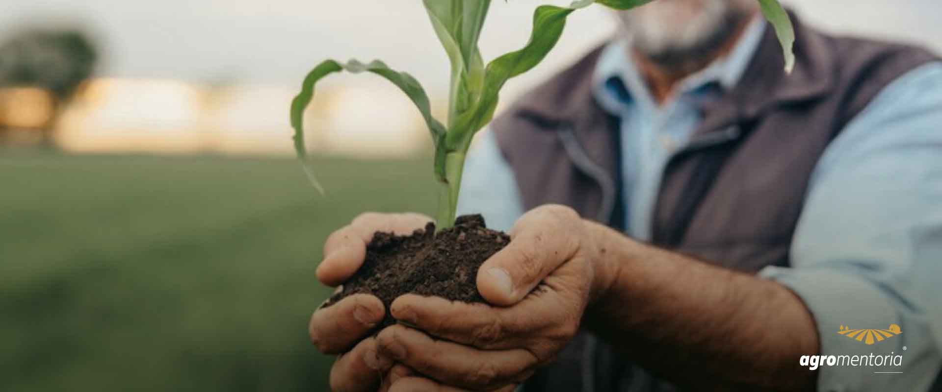 Desembolso do crédito rural chega perto de R$ 175 bilhões até novembro