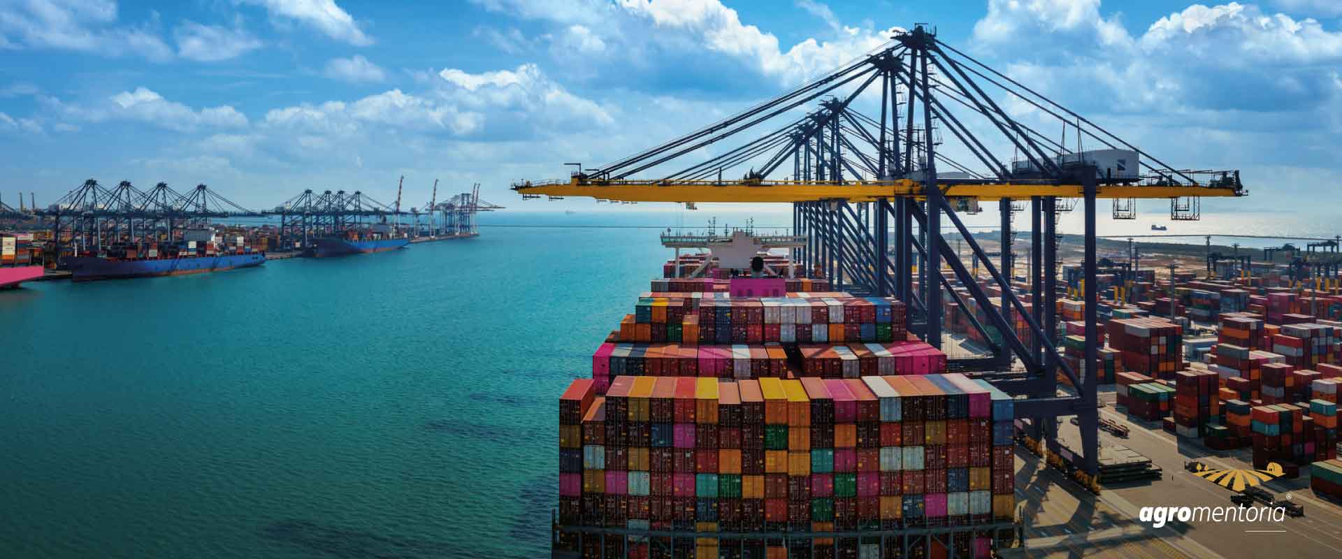Com US$ 12,6 bilhões em vendas, exportações do agronegócio batem recorde em novembro
