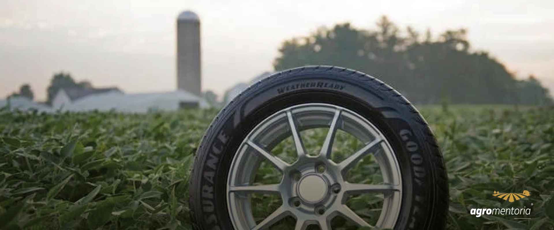 Além de óleo, farelo e grão, Brasil produz até pneu de soja