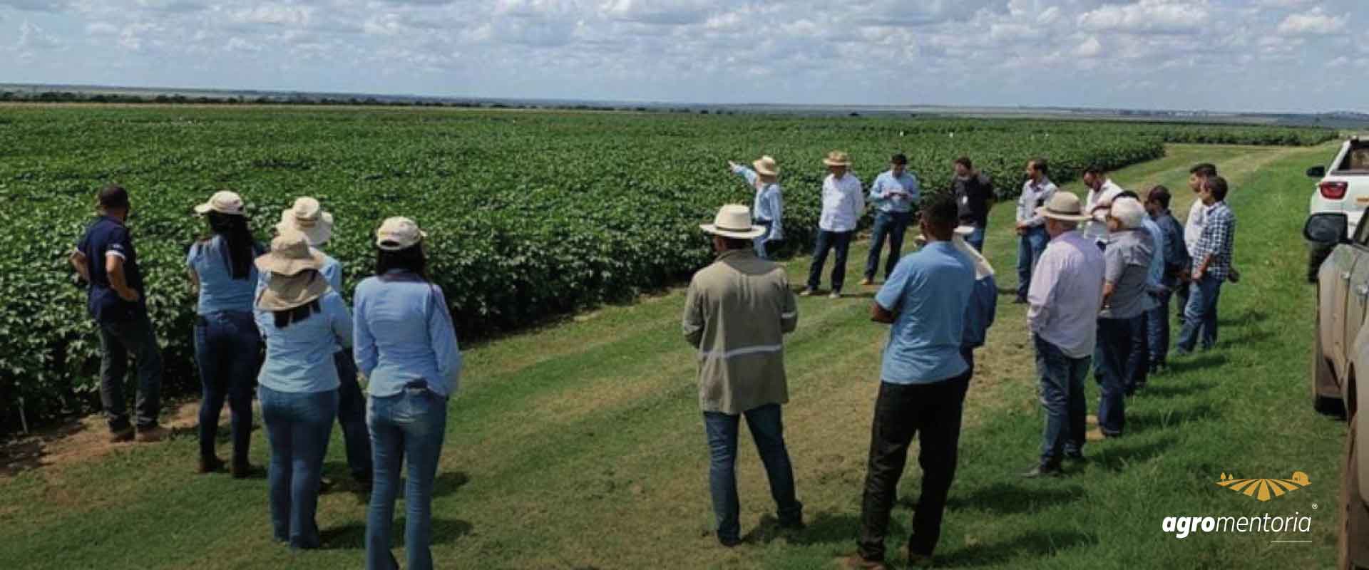 Programa mostra que qualidade da lavoura de soja começa na semente