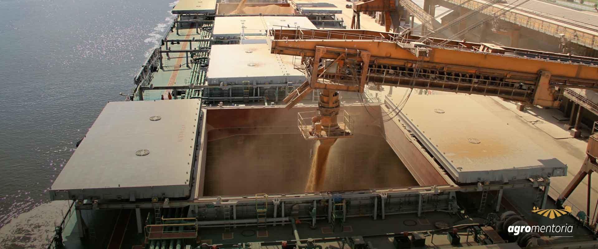 Estimativa de exportação da soja em janeiro é elevada