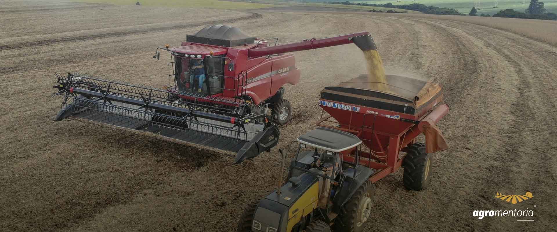 Colheita de soja atinge 99% no Paraná