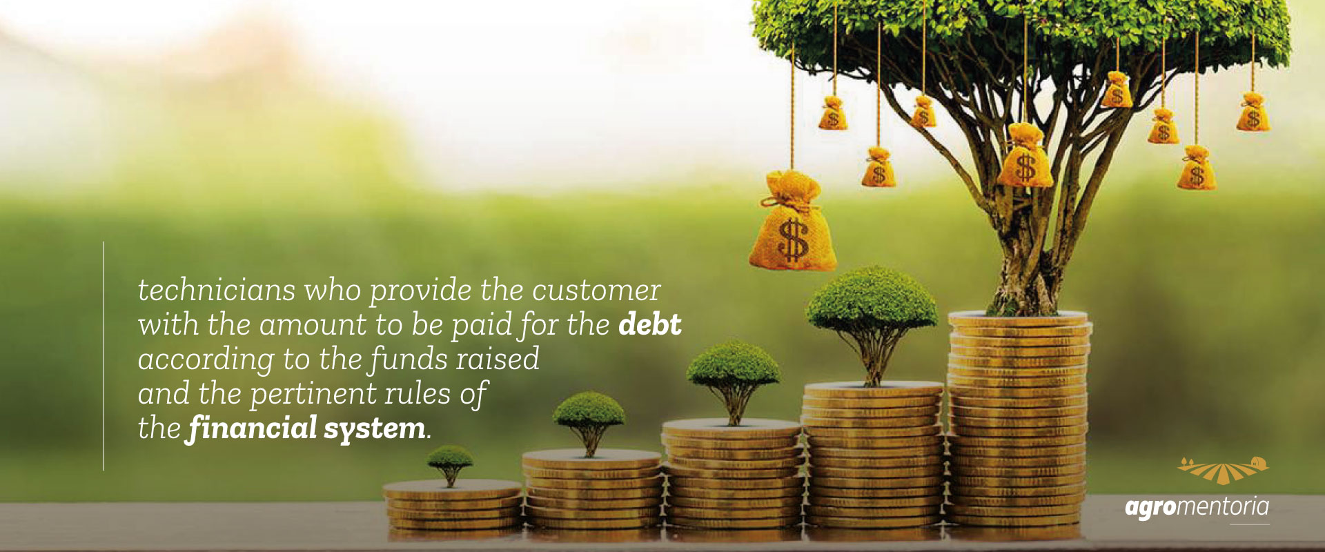 Restructuring of Rural Credit Liabilities - audit in rural credit operations